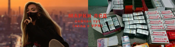 spice Волоколамск
