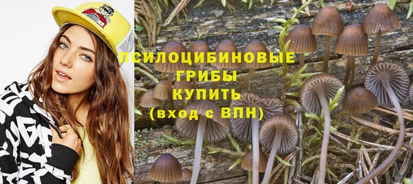 Альфа ПВП Володарск