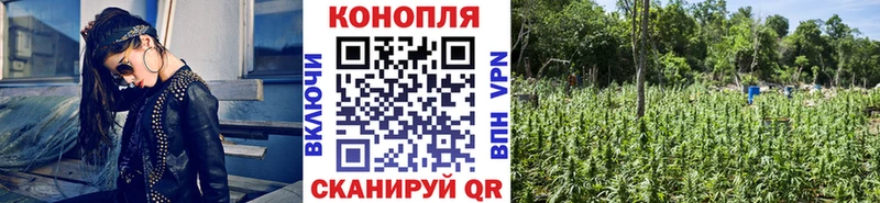 МАРИХУАНА конопля  маркетплейс телеграм  Орехово-Зуево 